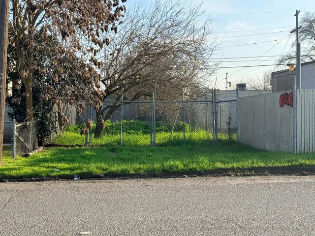 a view of a backyard with palm trees