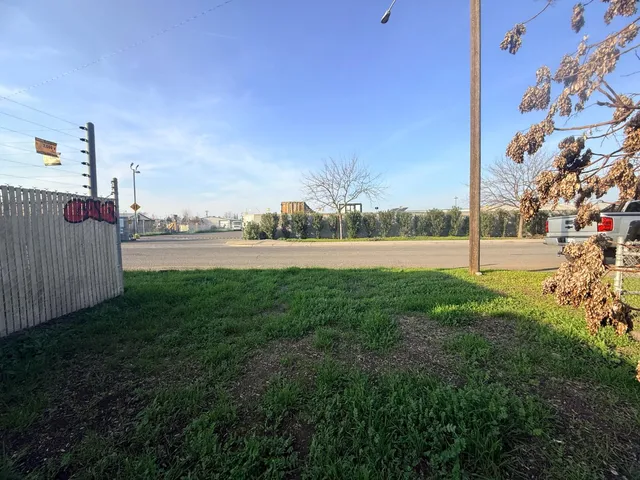 a view of a garden with plants and large trees