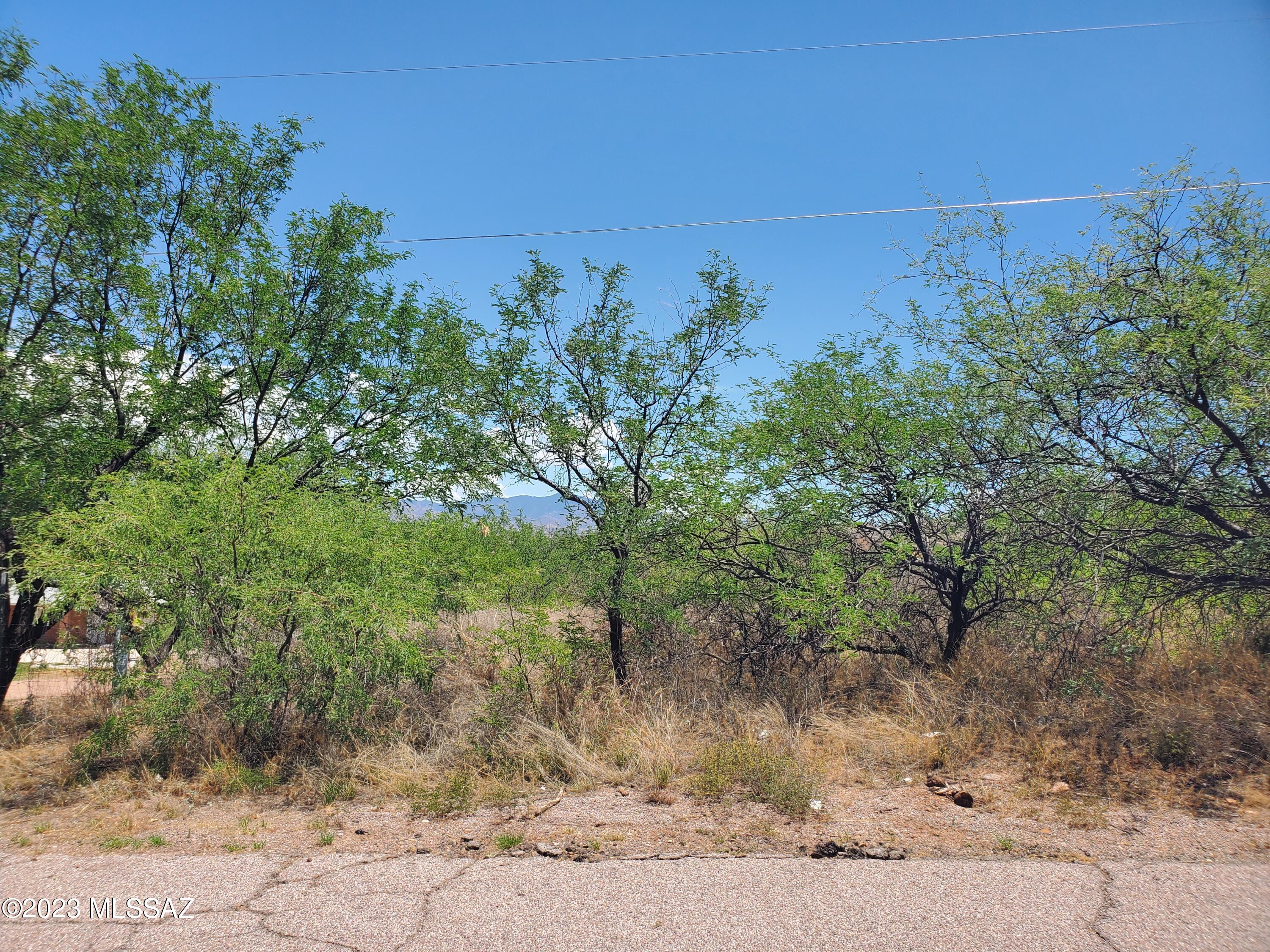 887 Paseo Los Mochis, Unit 9 Rio Rico, AZ 85648 - Photo 6 of 16