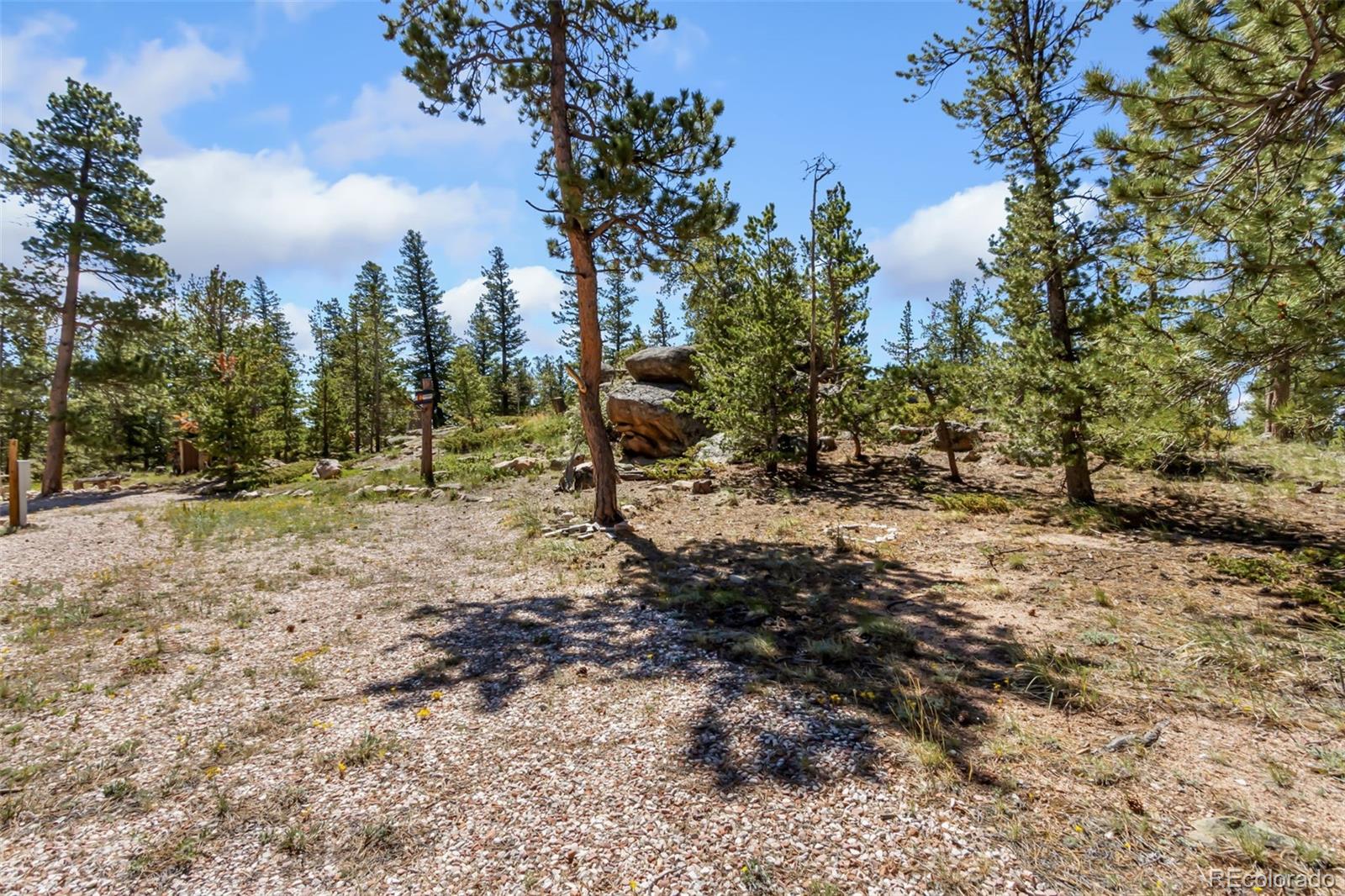 11 Inca Court Red Feather Lakes, CO 80545 - Photo 8 of 36