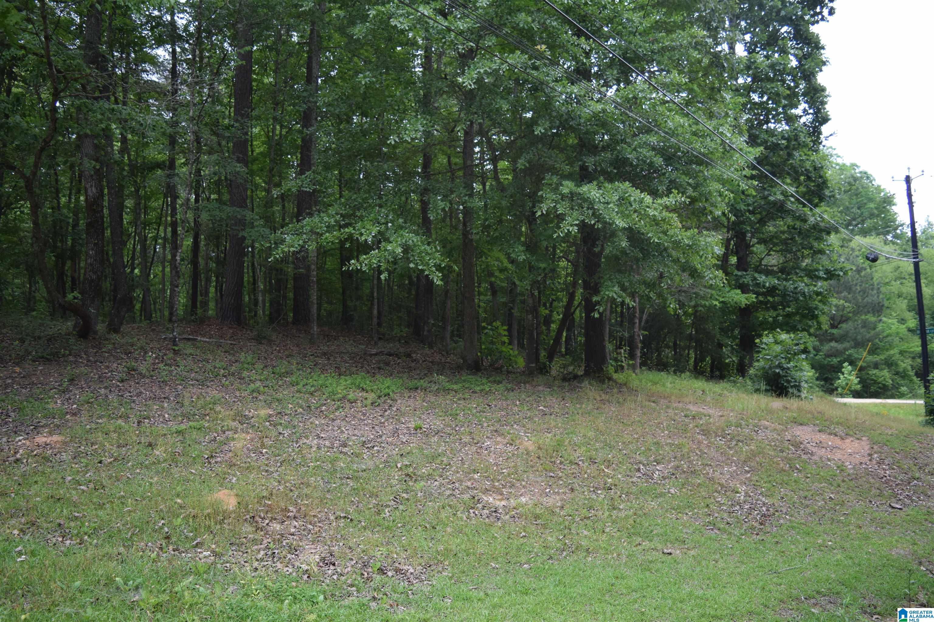 20112 Calhoun Road McCalla, AL 35111 - Photo 26 of 31 Gallery Image 26