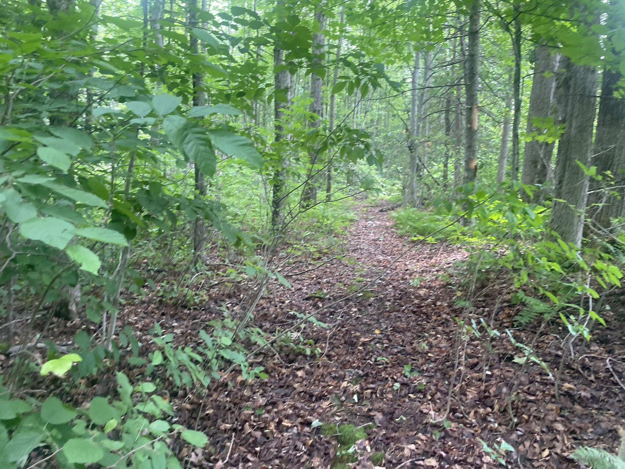 1075 Hill Road Clinton, ME 04927 - Photo 127 of 172 IMG_6225
