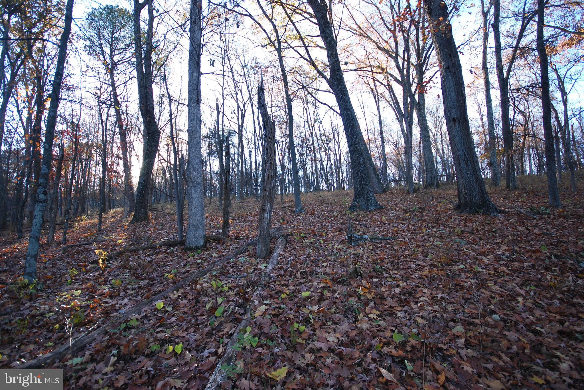 Lot 67 Mill Mountain Road Romney, WV 26757 - Photo 11 of 24 a backyard of a house with lots of green space