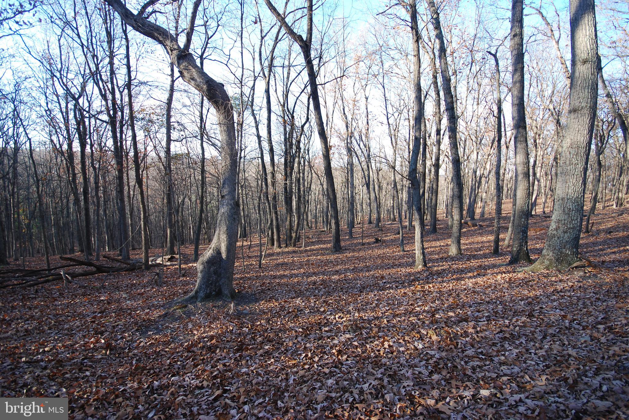Lot 67 Mill Mountain Road Romney, WV 26757 - Photo 14 of 24 a backyard of a house with lots of green space