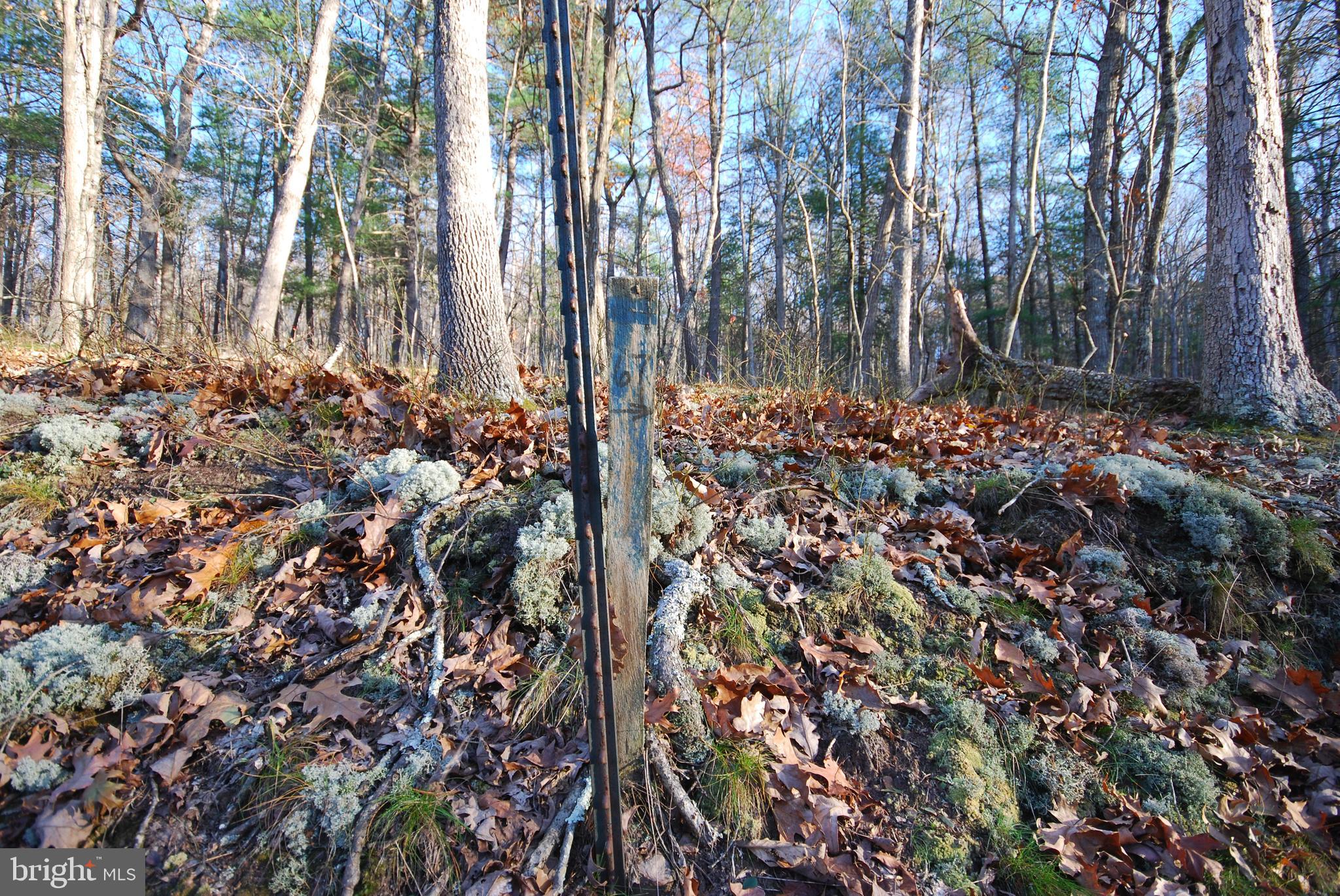 Lot 67 Mill Mountain Road Romney, WV 26757 - Photo 18 of 24 a view of a backyard of the house