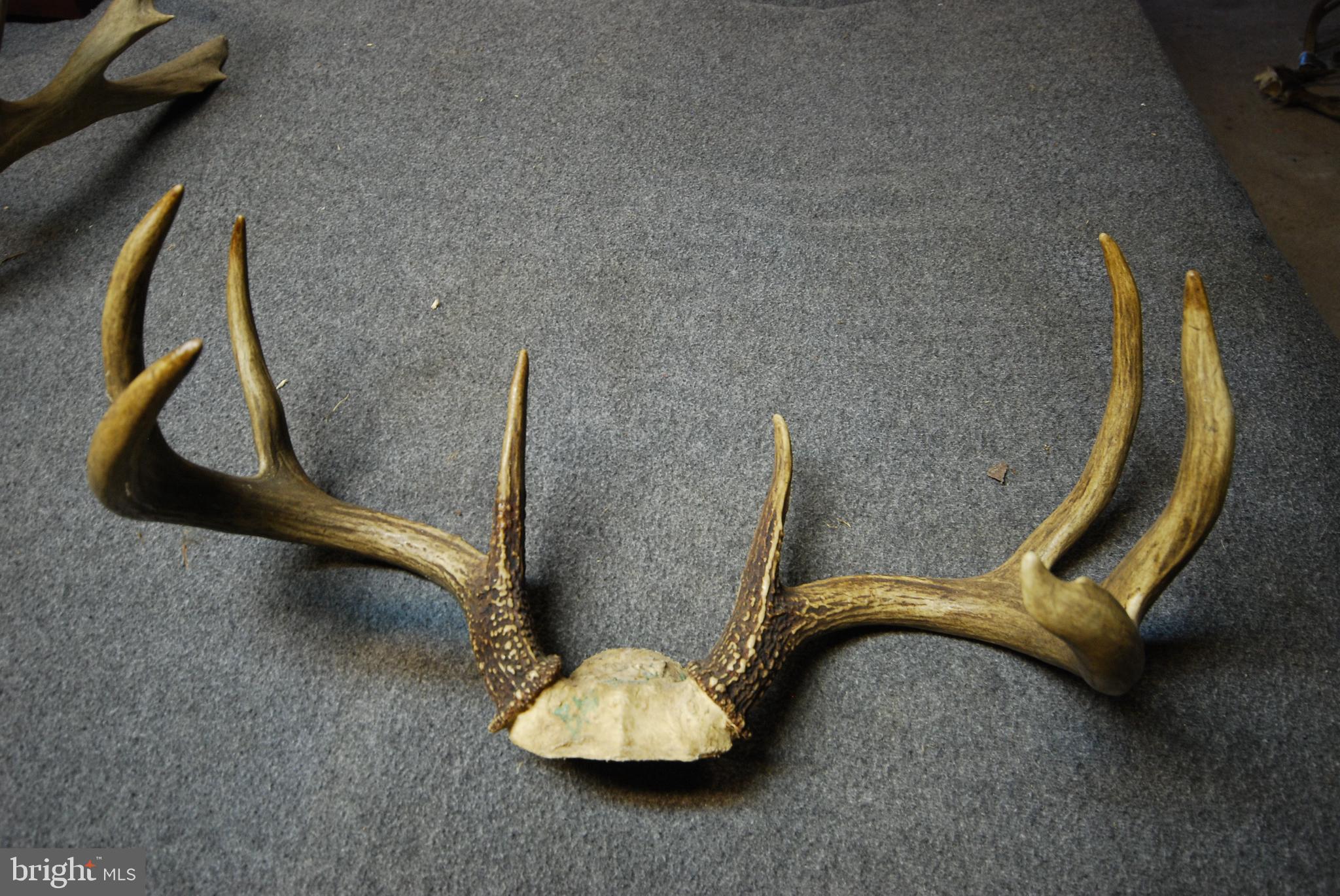 Lot 67 Mill Mountain Road Romney, WV 26757 - Photo 20 of 24 a view of a slide
