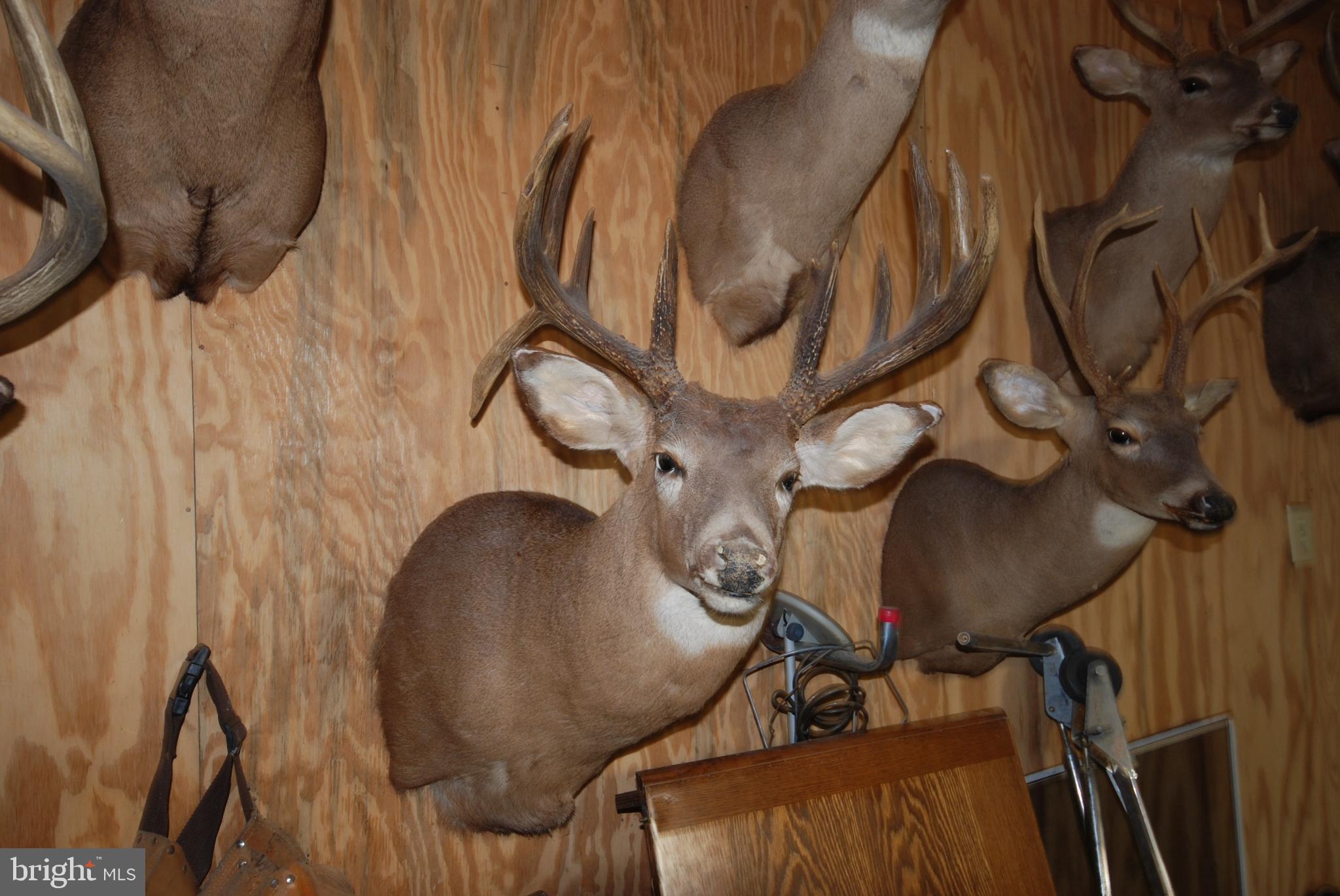 Lot 67 Mill Mountain Road Romney, WV 26757 - Photo 21 of 24 a picture of a room with wooden door