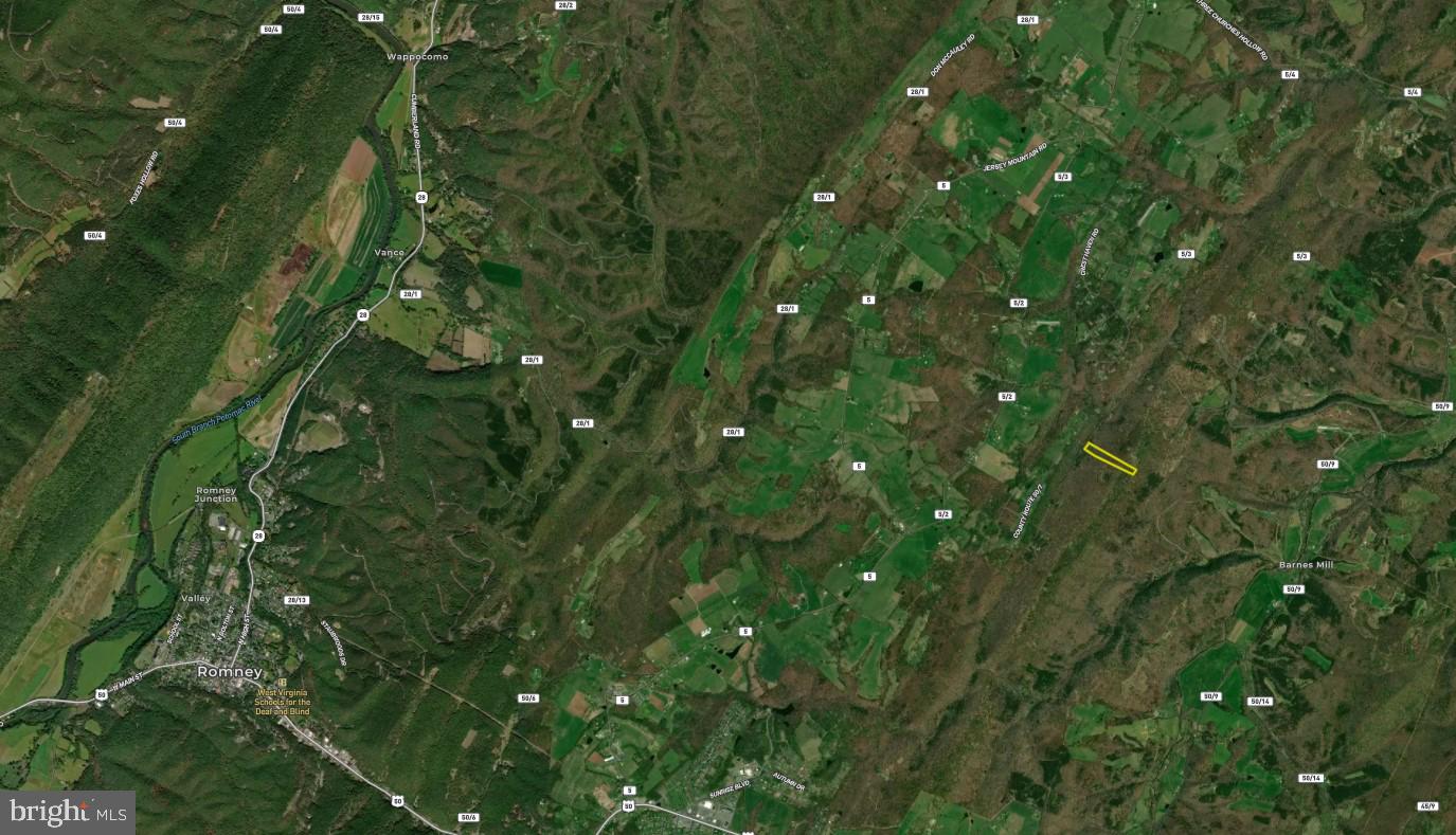 Lot 67 Mill Mountain Road Romney, WV 26757 - Photo 23 of 24 a view of a lush green forest