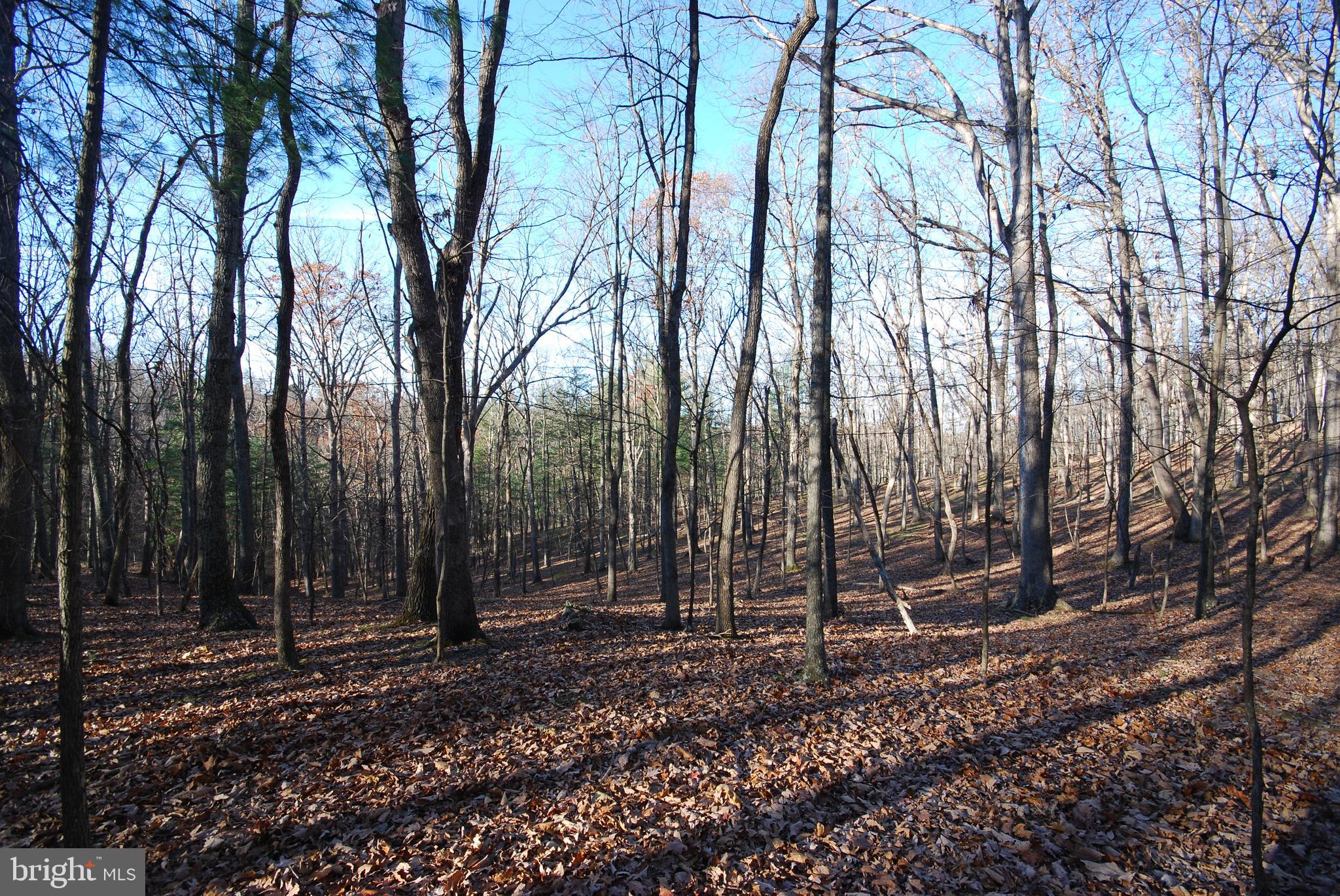 Lot 67 Mill Mountain Road Romney, WV 26757 - Photo 3 of 24 a view of outdoor space with lots of trees