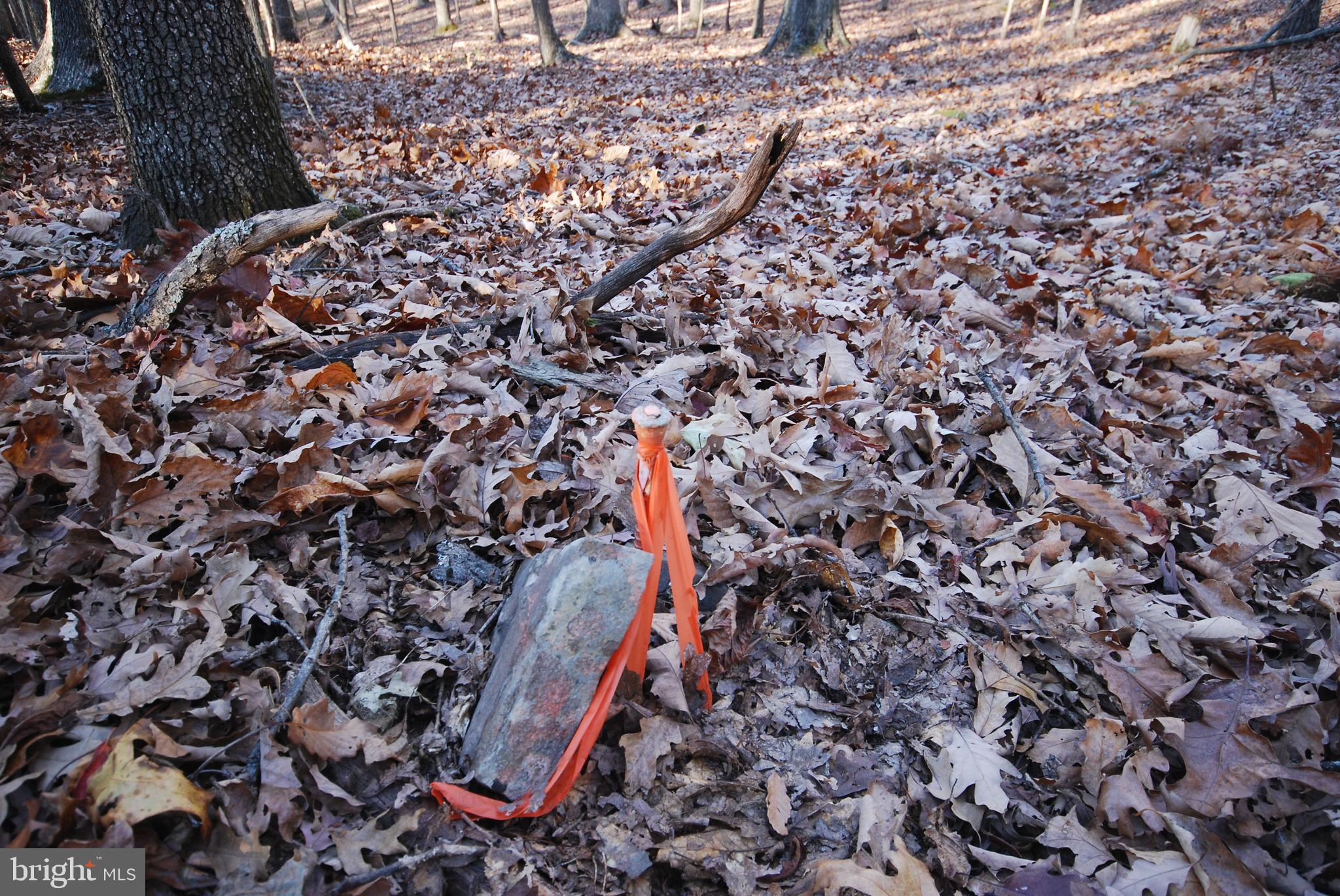 Lot 67 Mill Mountain Road Romney, WV 26757 - Photo 5 of 24