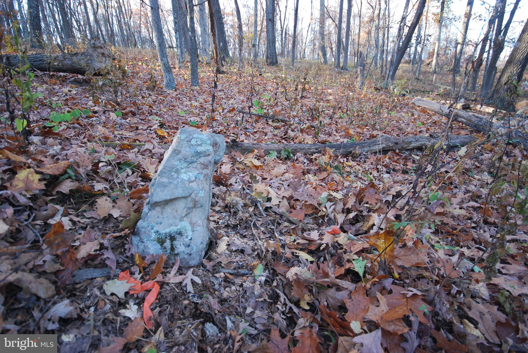 Lot 67 Mill Mountain Road Romney, WV 26757 - Photo 10 of 24 a view of a yard with lots of bushes