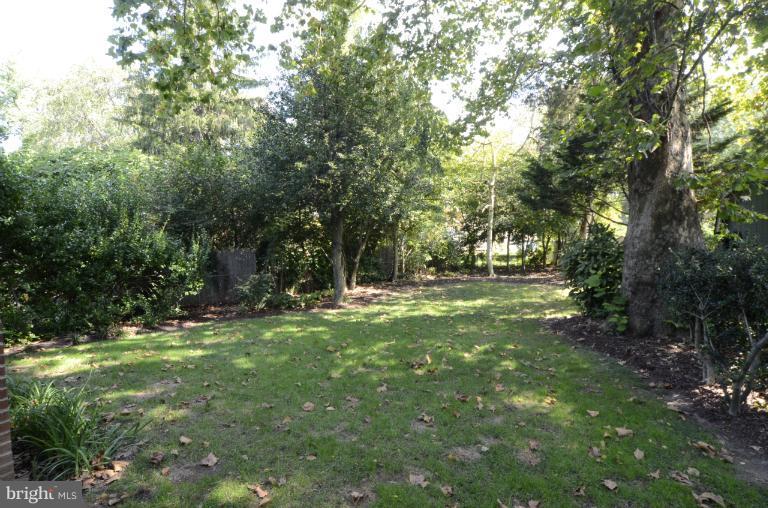 9610 Wire Avenue Silver Spring, MD 20901 - Photo 5 of 23 a view of outdoor space with trees all around