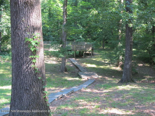 2884 Timberland Road Nesbit, MS 38651 - Photo 25 of 33 IMG_4837