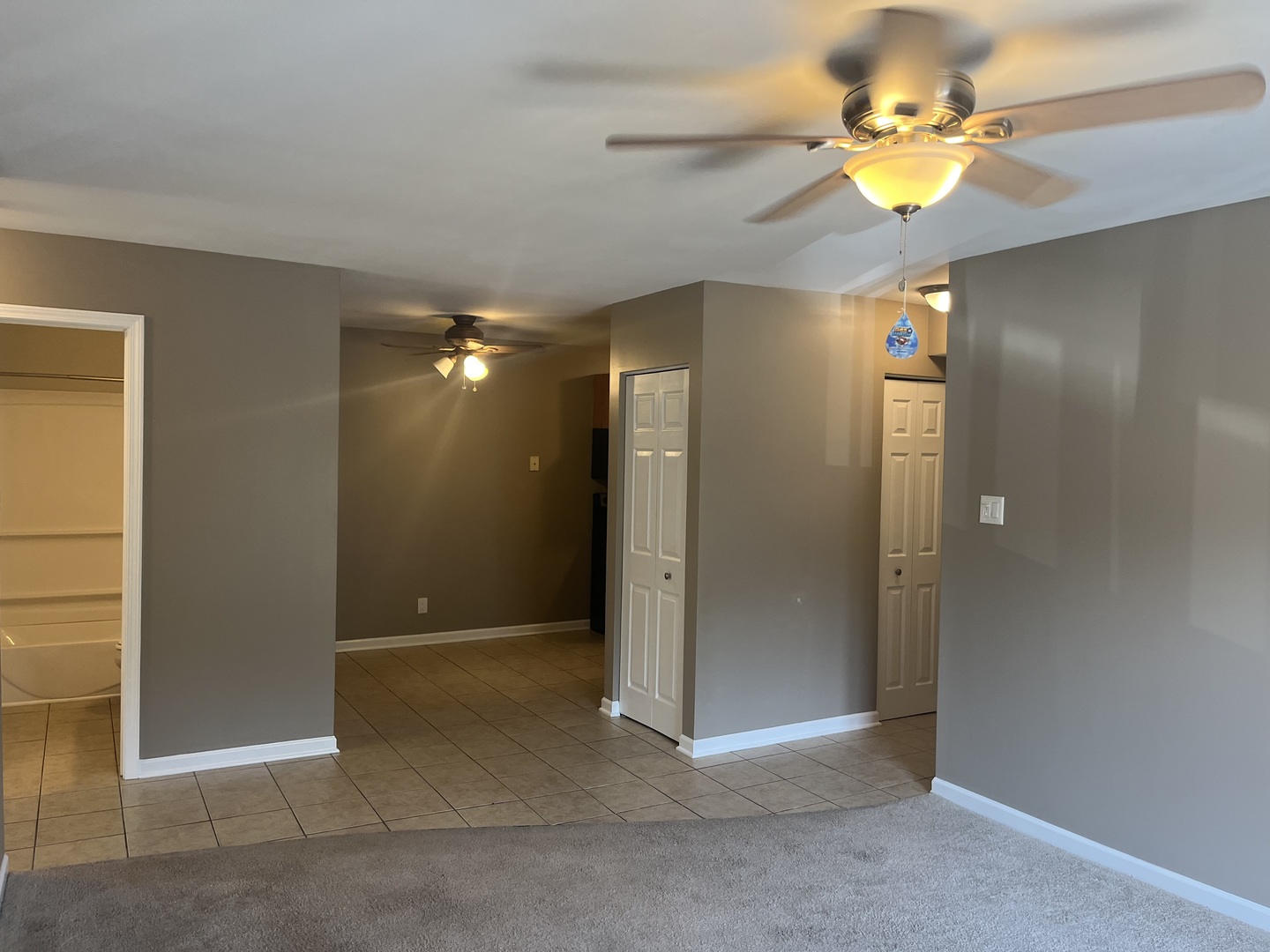 2300 Light Road, Unit 201 Oswego, IL 60543 - Photo 5 of 10 an empty room with closet and a chandelier fan