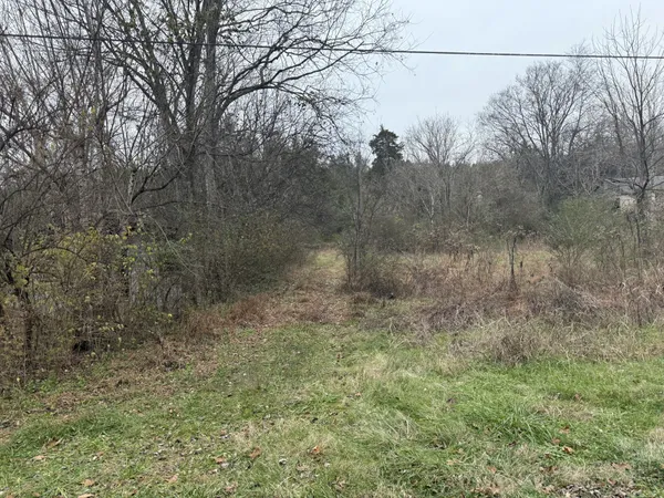 a view of a yard