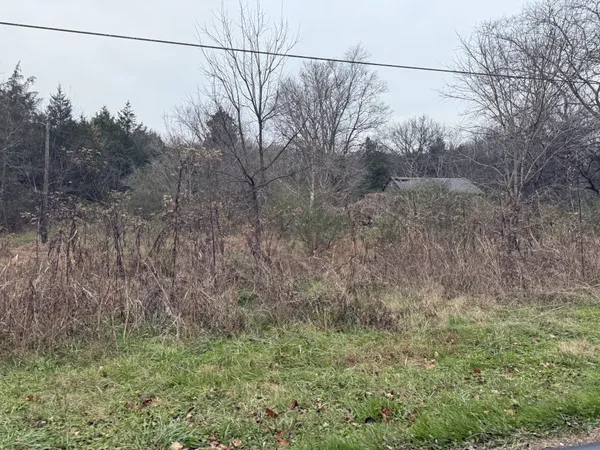 a view of a yard