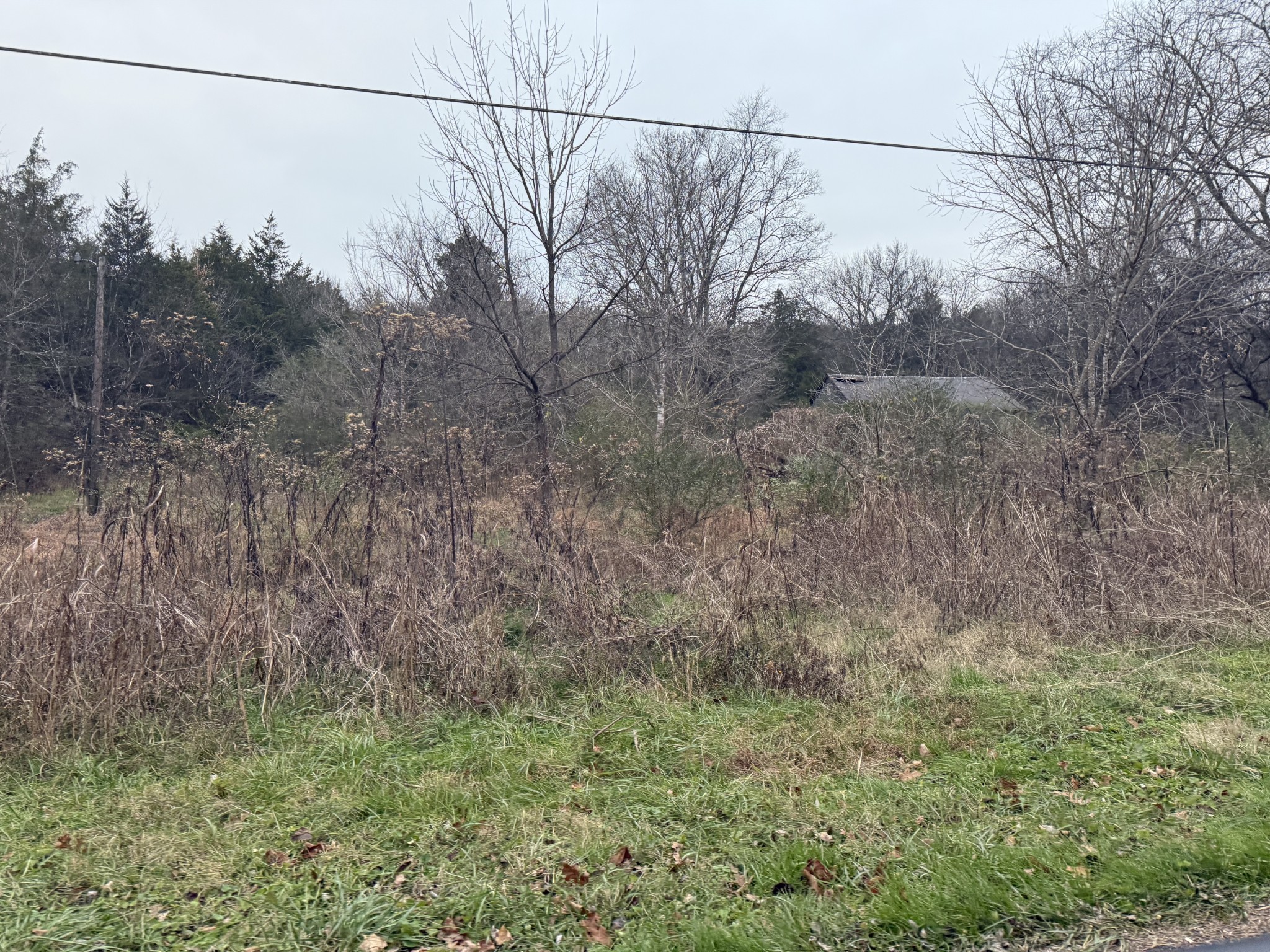 0 Lewis Road Santa Fe, TN 38482 - Photo 2 of 7 a view of a yard