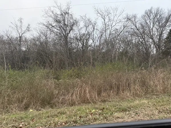 a view of a yard