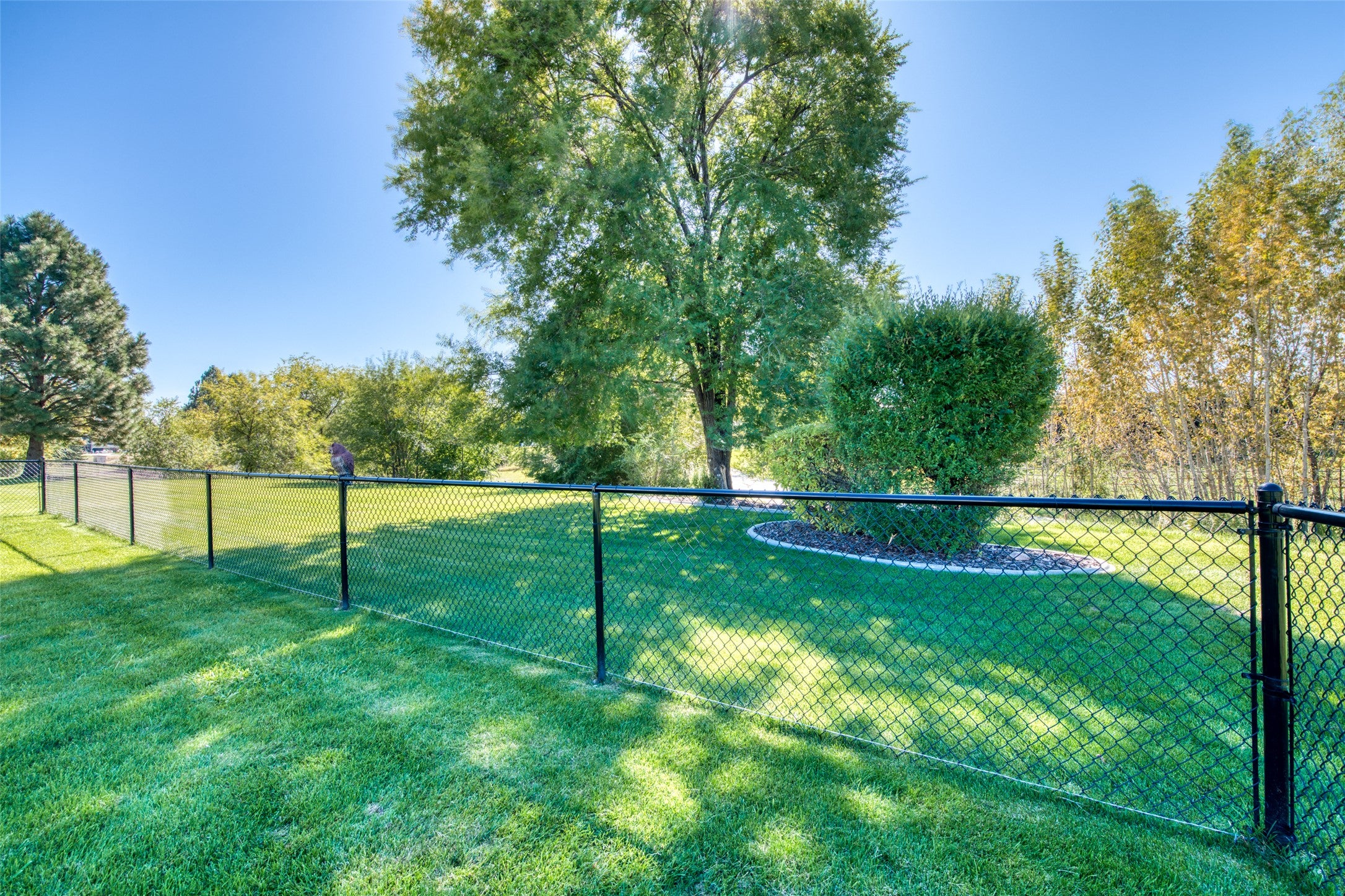 215 Carriage Road Hamilton, MT 59840 - Photo 13 of 58 Gallery Image 13