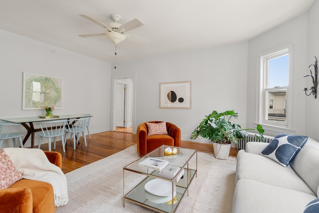 206 Pearl Street, Unit 3 Somerville, MA 02145 - Photo 5 of 18 a living room with furniture and a potted plant