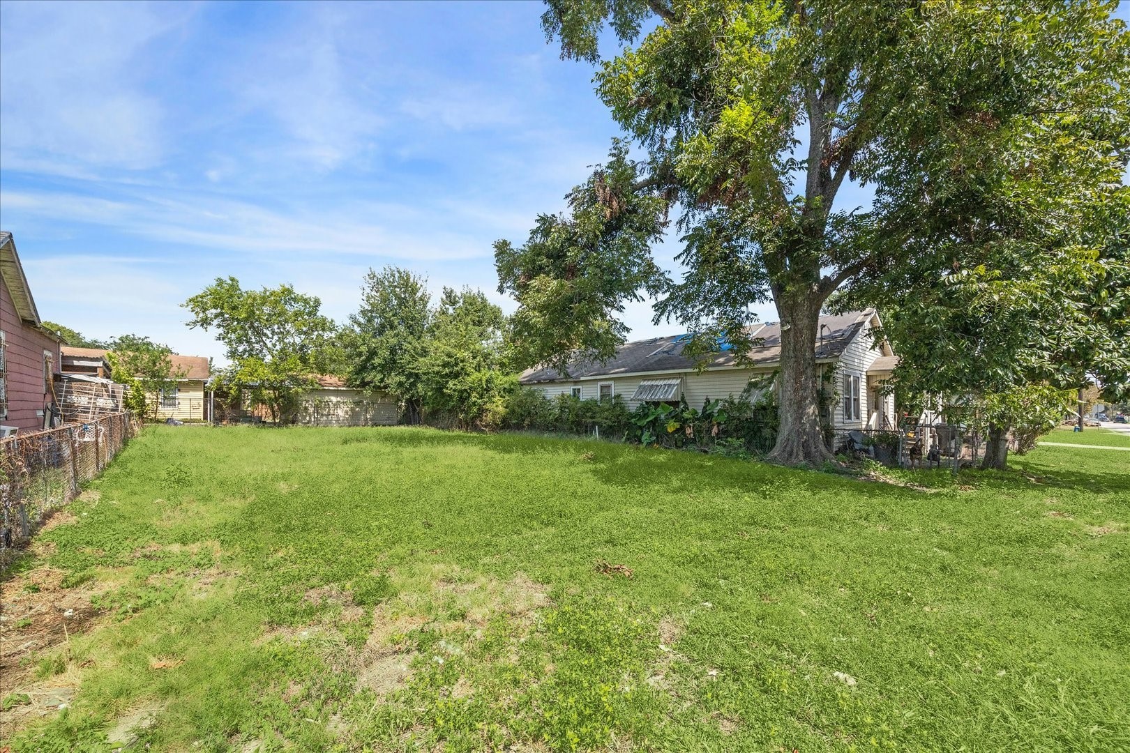 1105 Evelyn Street Houston, TX 77009 - Photo 4 of 11 a view of a yard with a tree