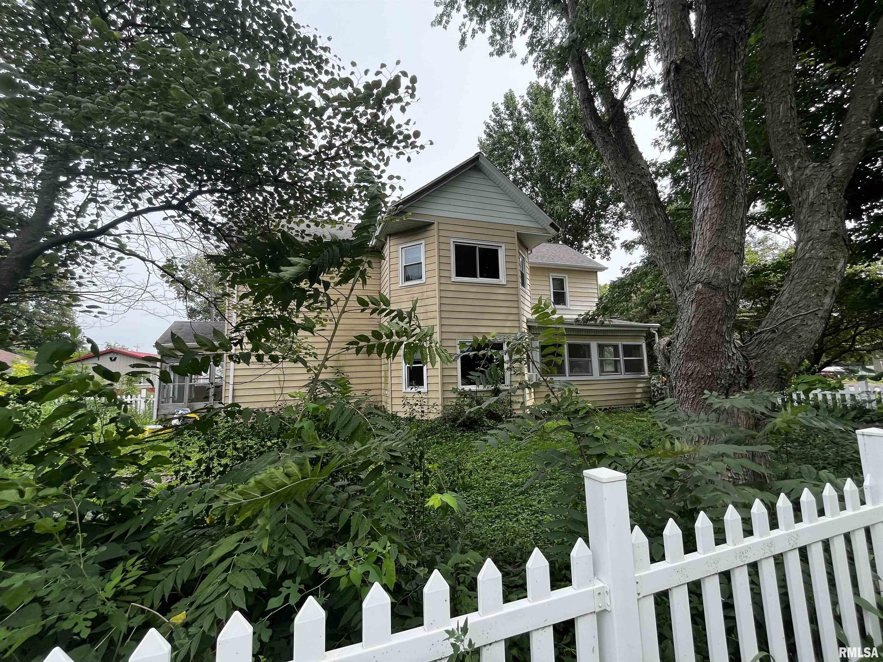 401 East 4th Street Delavan, IL 61734 - Photo 3 of 43