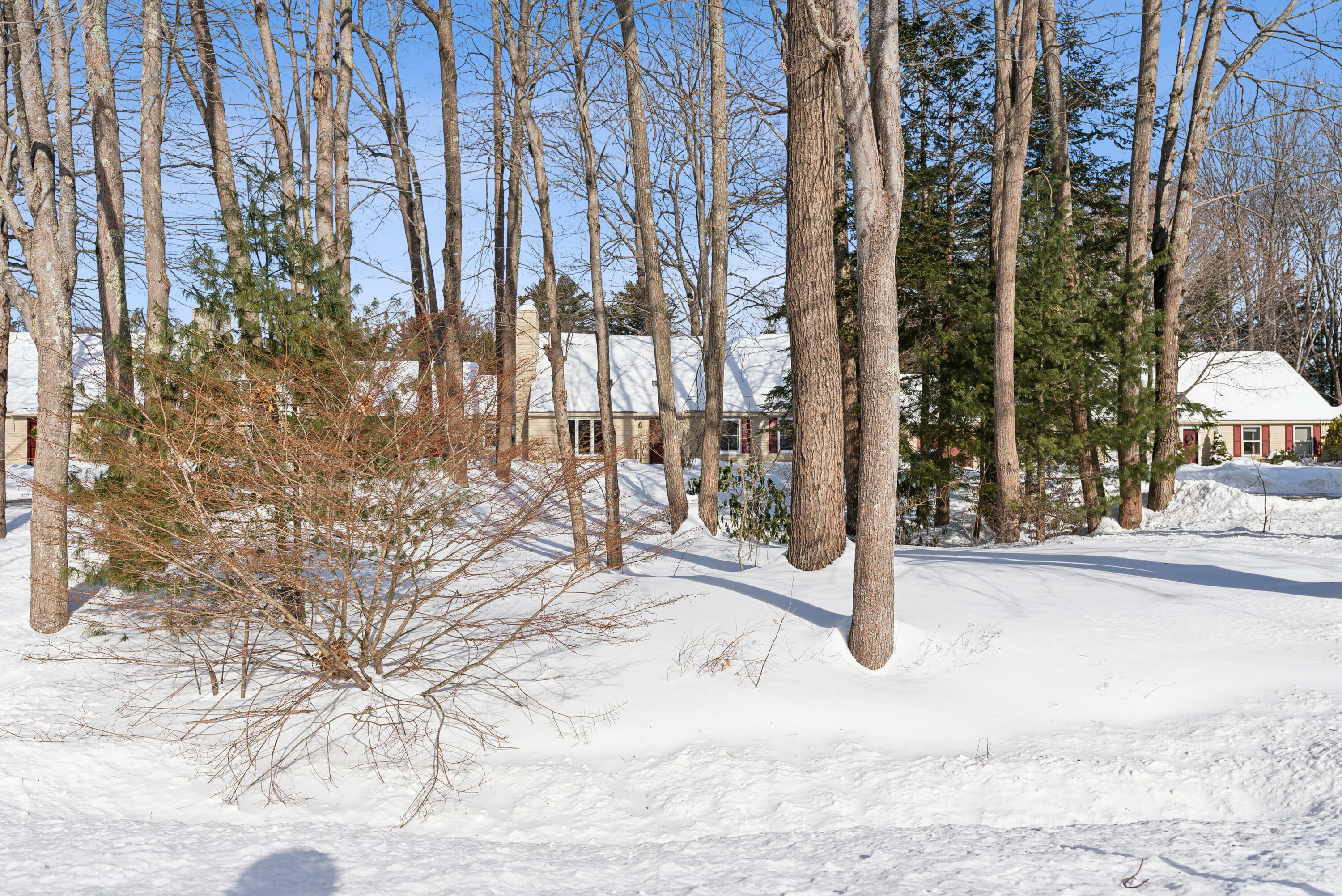 43 Willow Grove Road, Unit 43 Brunswick, ME 04011 - Photo 36 of 42 Through The Woods