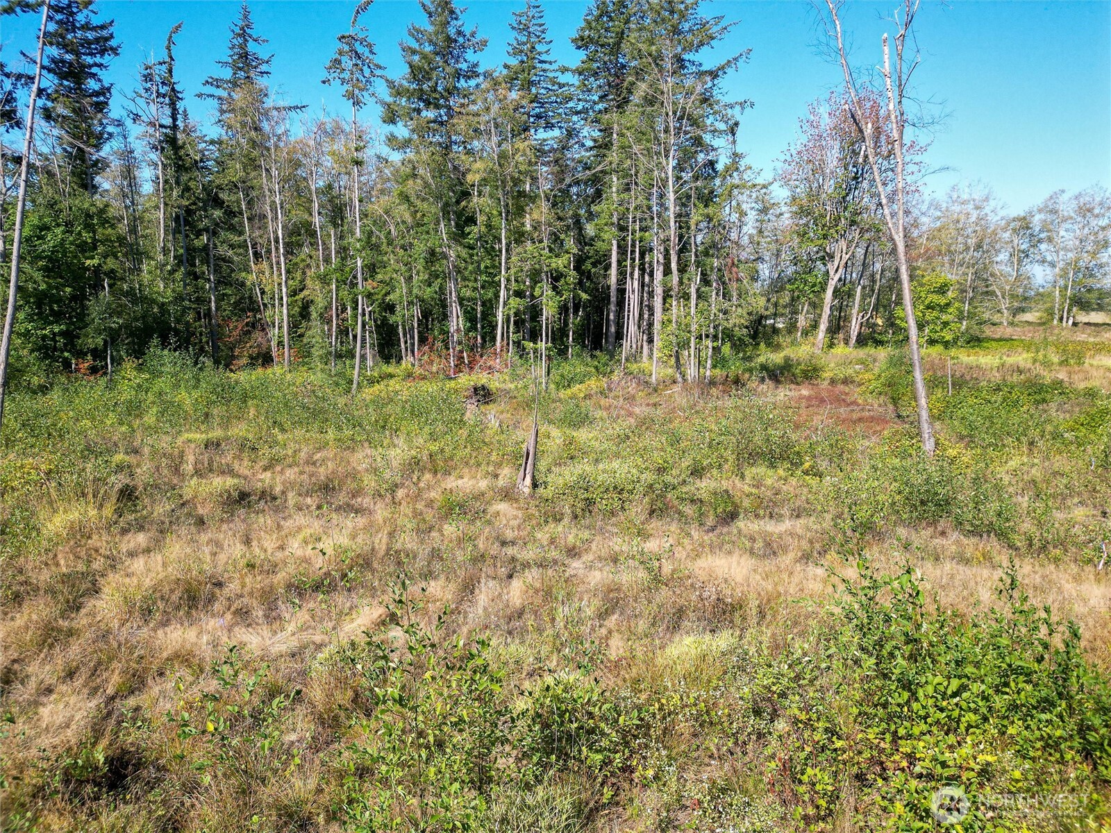 0 Bay Road Ferndale, WA 98248 - Photo 12 of 12