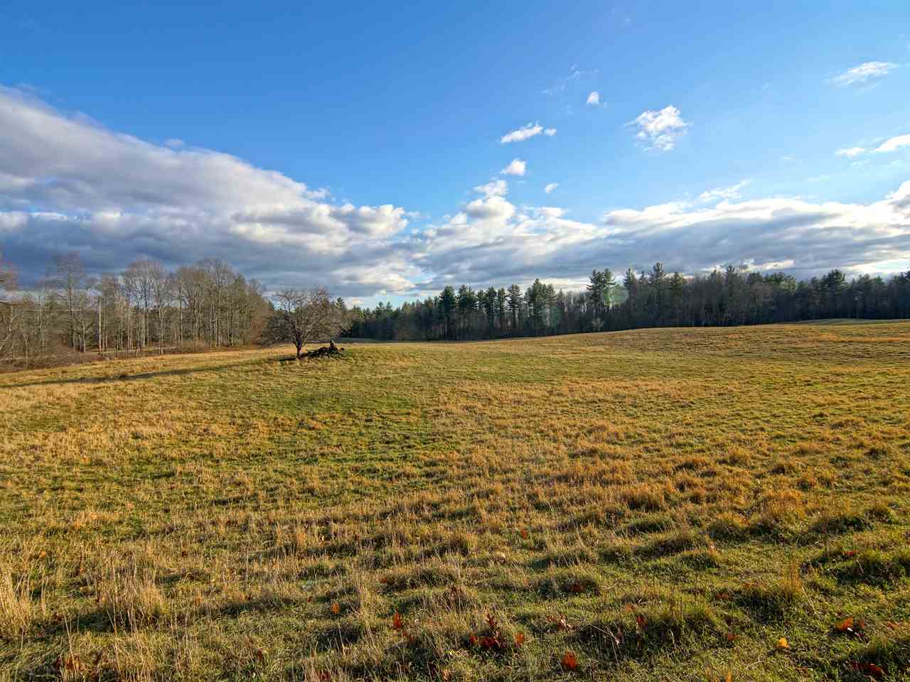 42 Nute Road Madbury, NH 03823 - Photo 5 of 40 Gallery Image 5