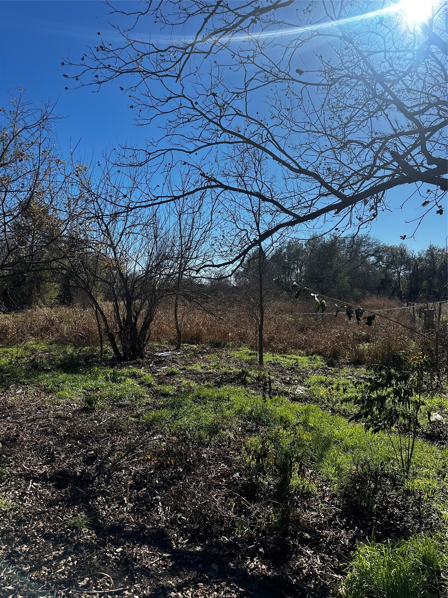 607 Old McDade Road Elgin, TX 78621 - Photo 2 of 8 a backyard of a house with lots of green space