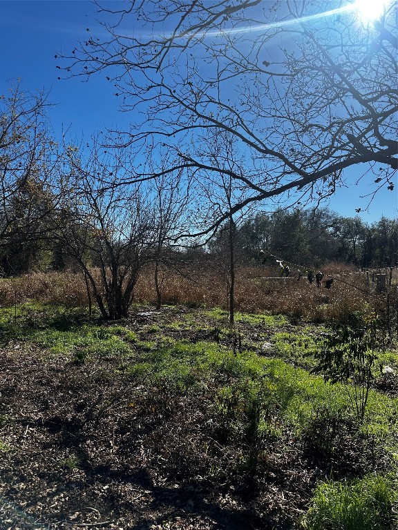 607 Old McDade Road Elgin, TX 78621 - Photo 2 of 8 a view of a backyard