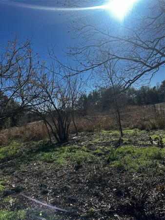 a backyard of a house with lots of plants and trees