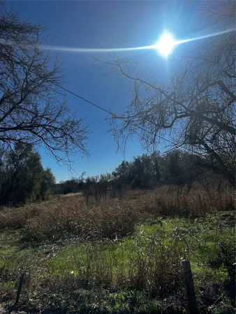 a view of a yard next to a road