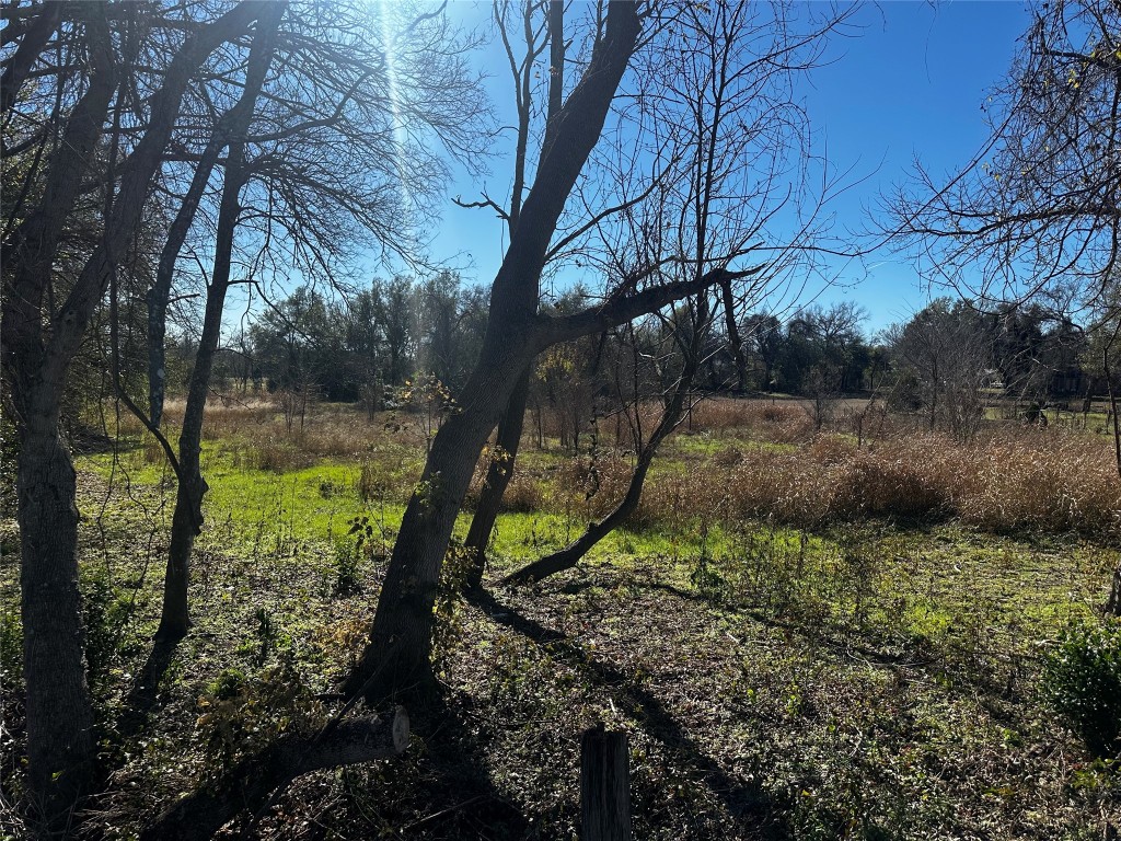 607 Old McDade Road Elgin, TX 78621 - Photo 6 of 8 a view of a yard