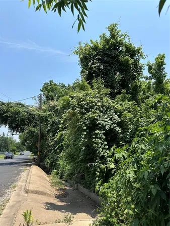 a view of a backyard of a house