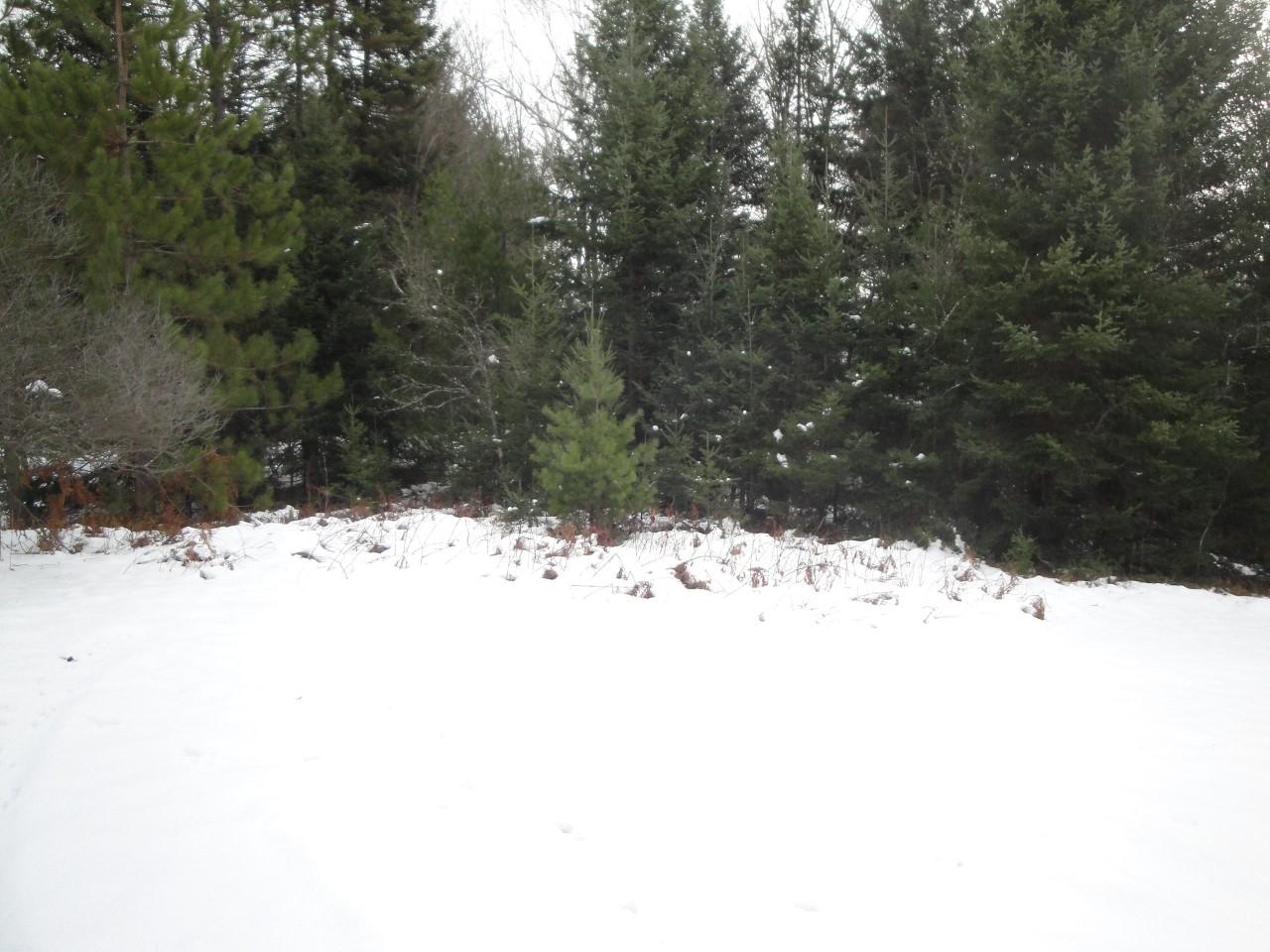 3320 Meadow Lane Rhinelander, WI 54501 - Photo 24 of 34 Gallery Image 24
