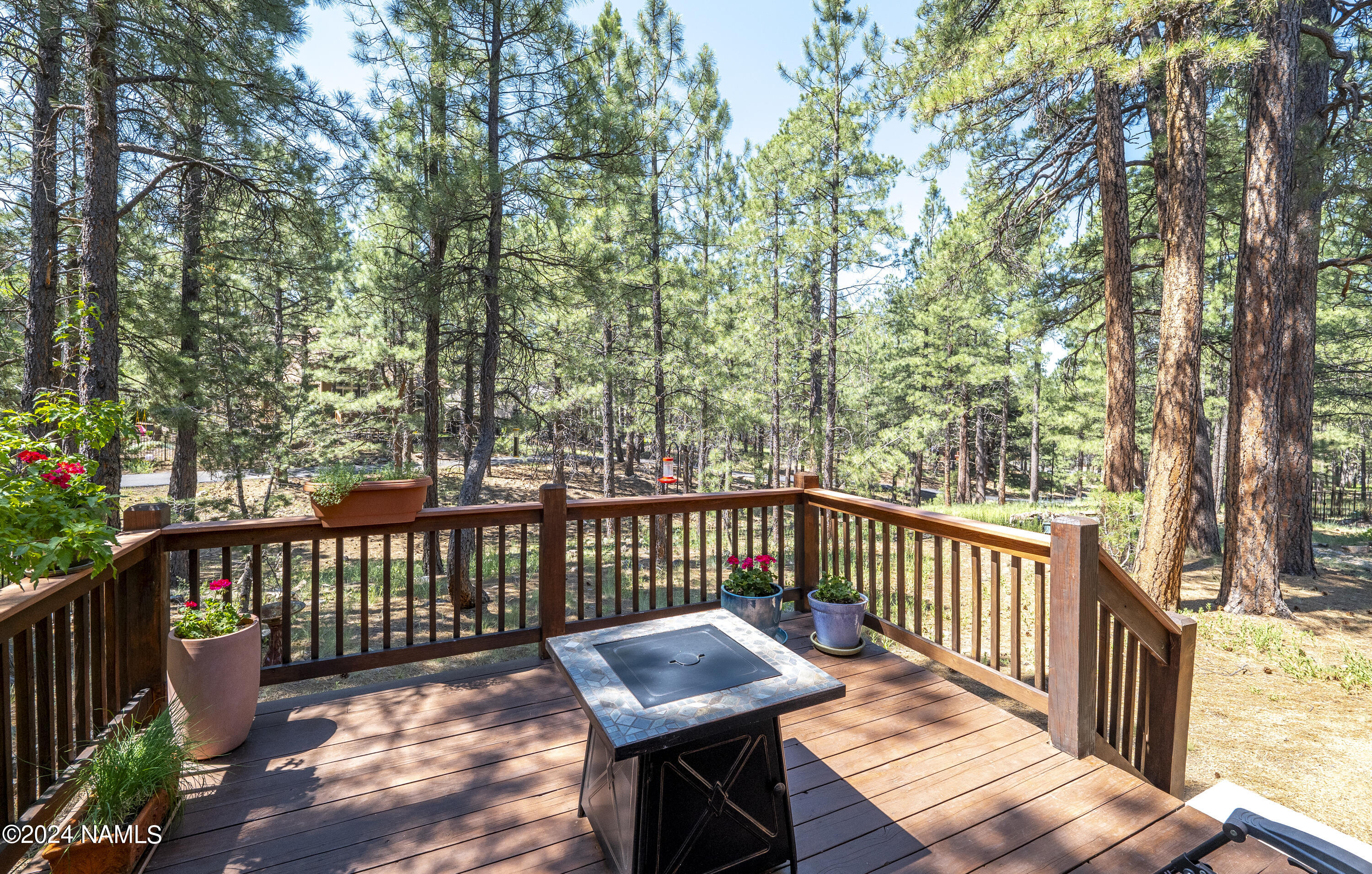 75 West Hance Trail Flagstaff, AZ 86005 - Photo 16 of 35 P1431561