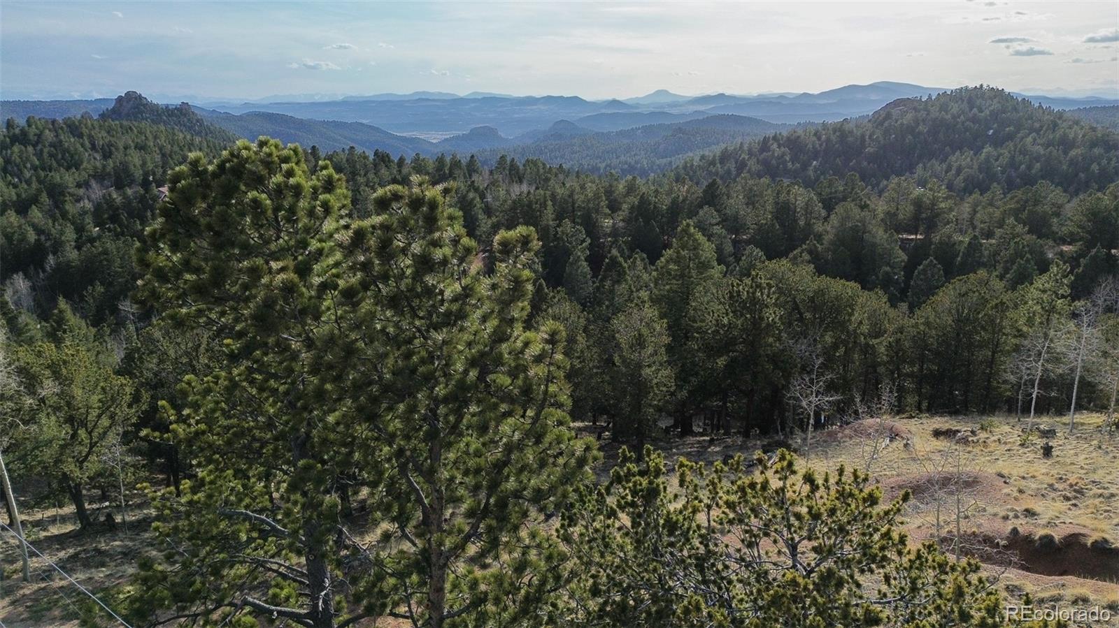 239 Homestead Road Divide, CO 80814 - Photo 12 of 24