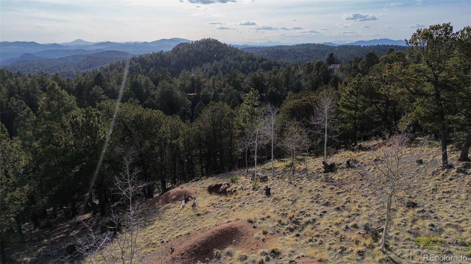 239 Homestead Road Divide, CO 80814 - Photo 13 of 24