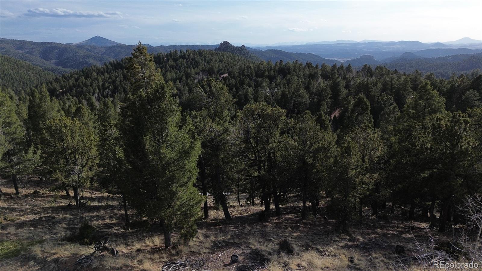 239 Homestead Road Divide, CO 80814 - Photo 14 of 24