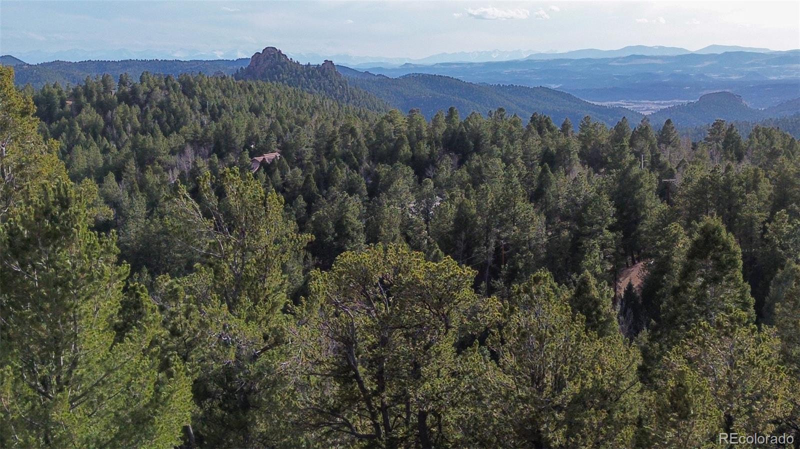 239 Homestead Road Divide, CO 80814 - Photo 15 of 24