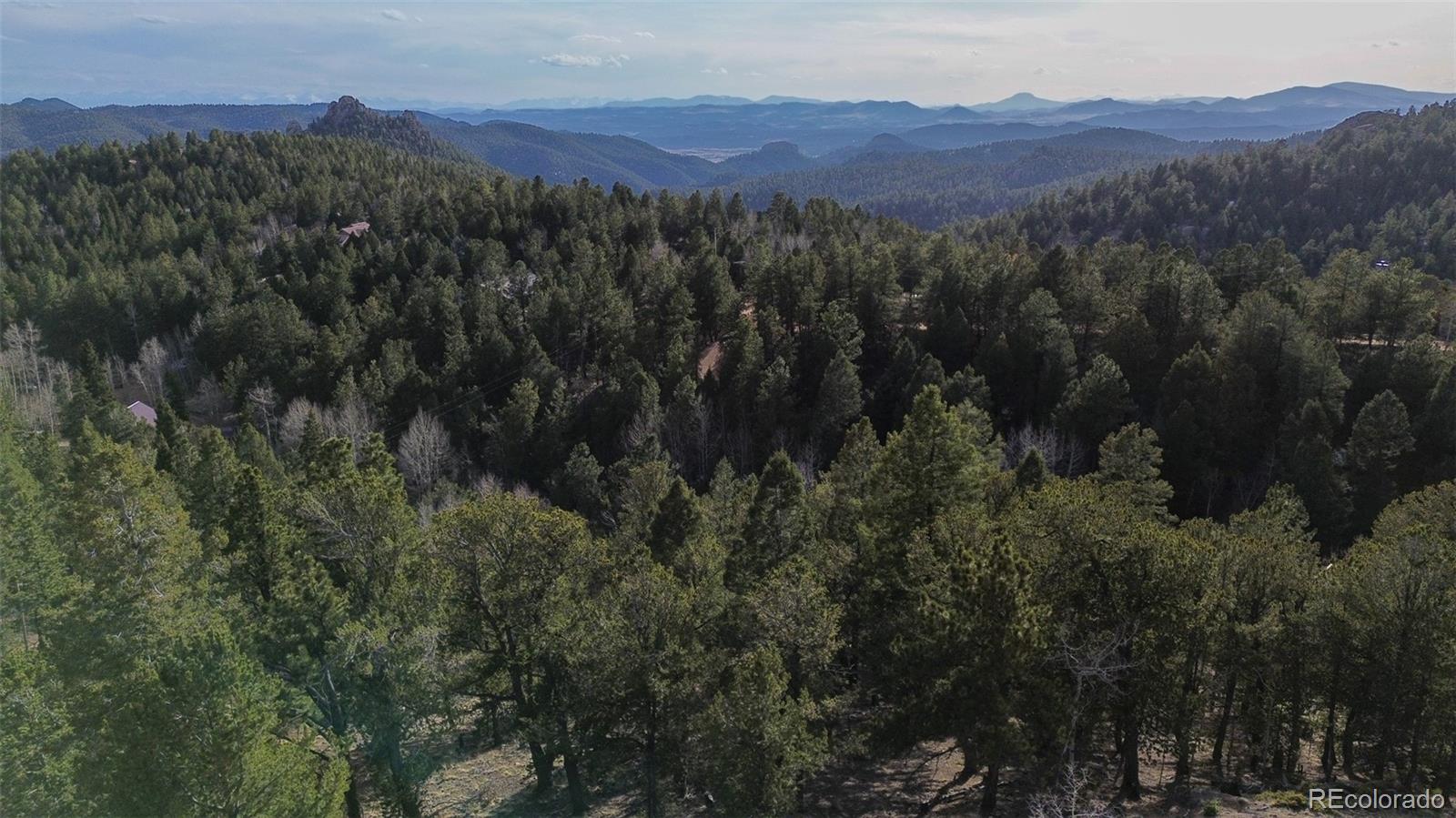 239 Homestead Road Divide, CO 80814 - Photo 16 of 24