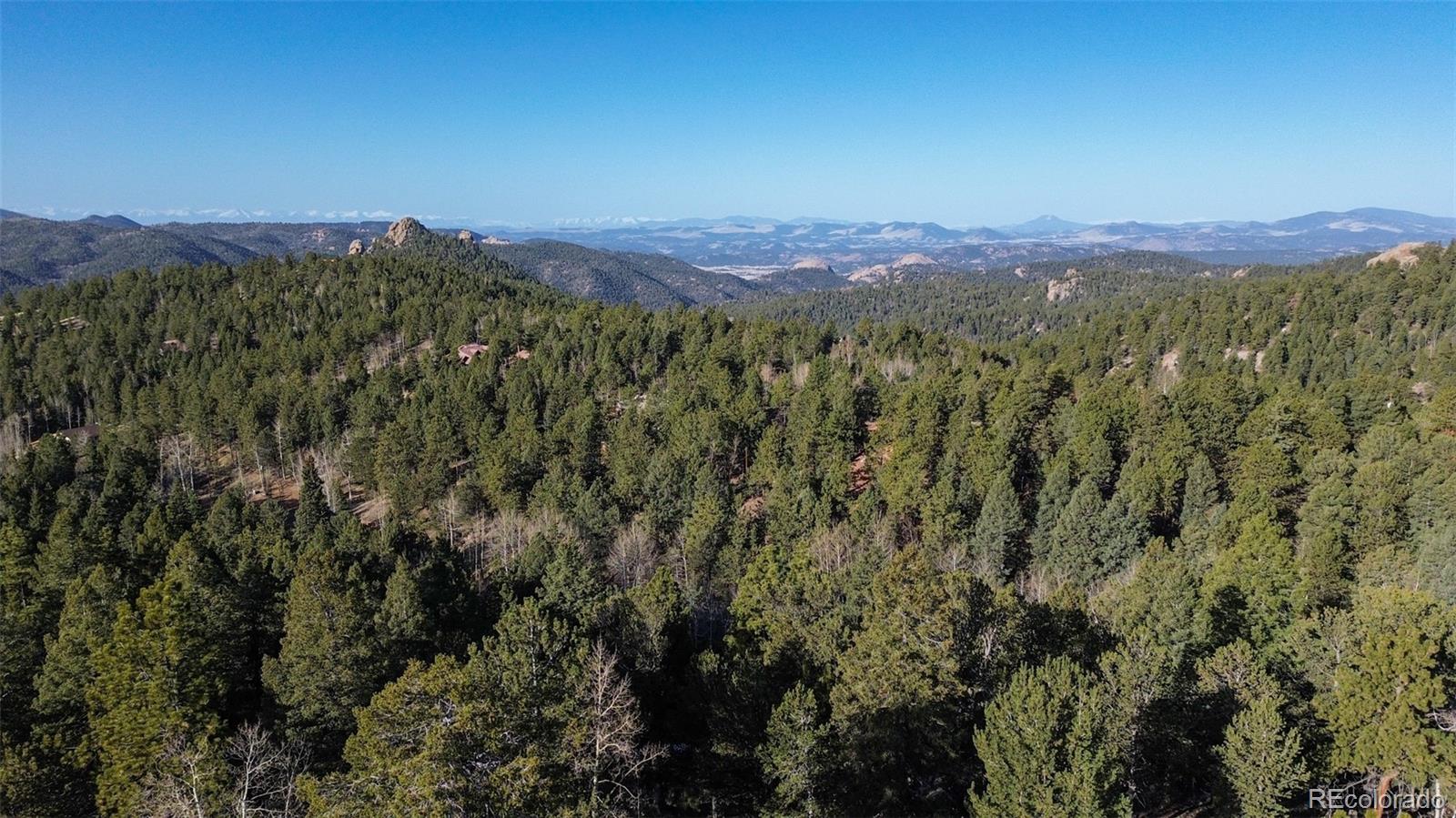 239 Homestead Road Divide, CO 80814 - Photo 17 of 24