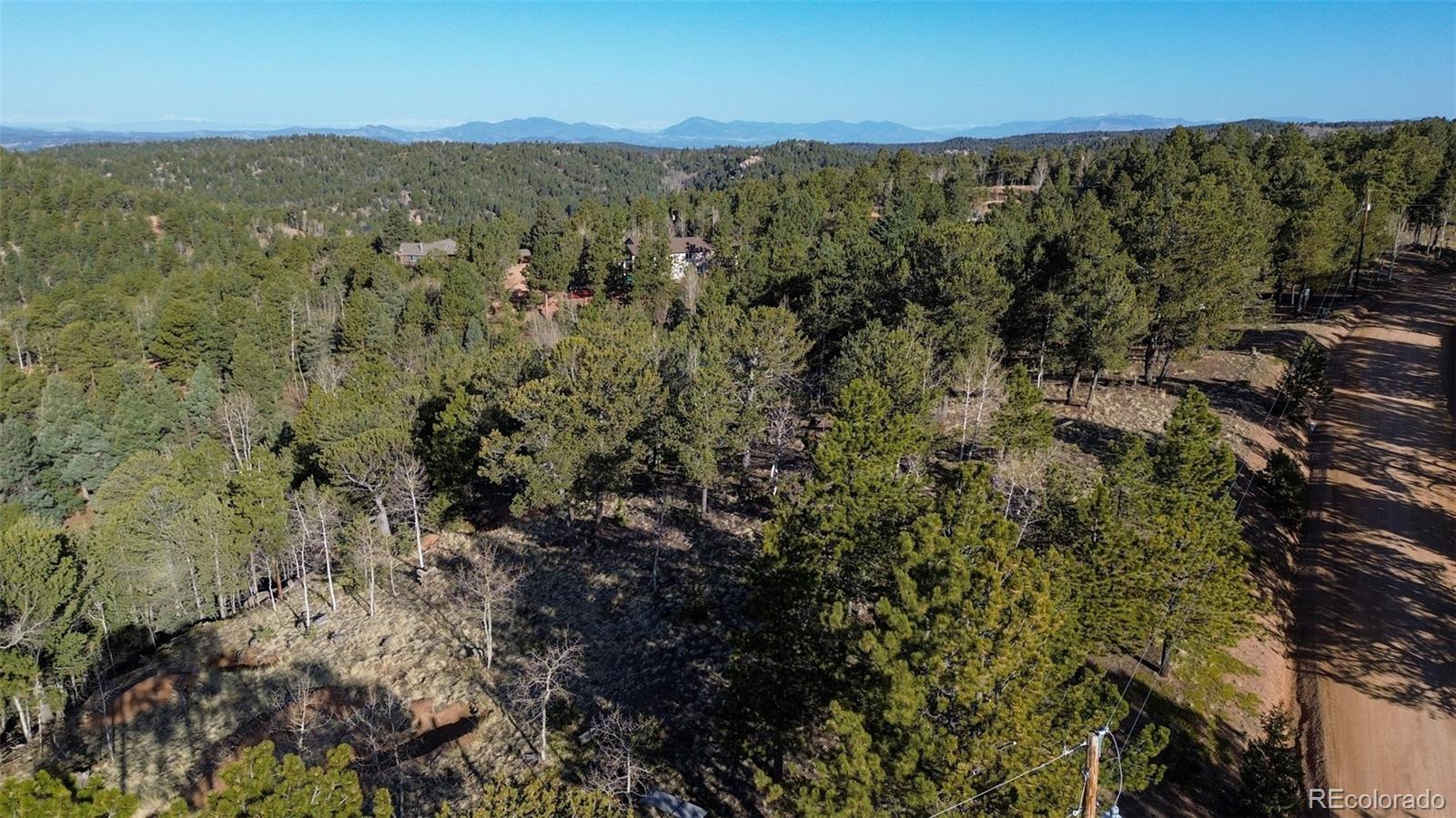 239 Homestead Road Divide, CO 80814 - Photo 18 of 24