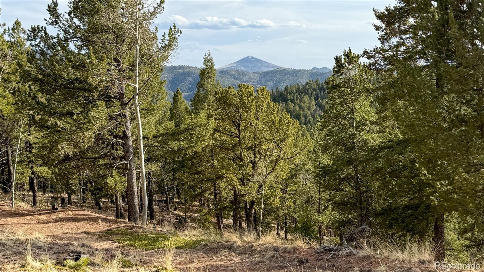 239 Homestead Road Divide, CO 80814 - Photo 19 of 24