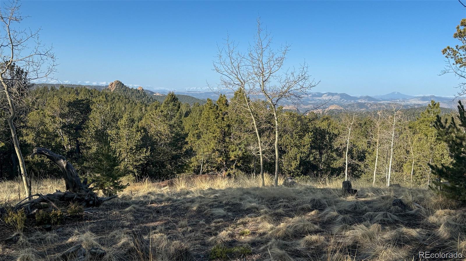 239 Homestead Road Divide, CO 80814 - Photo 20 of 24