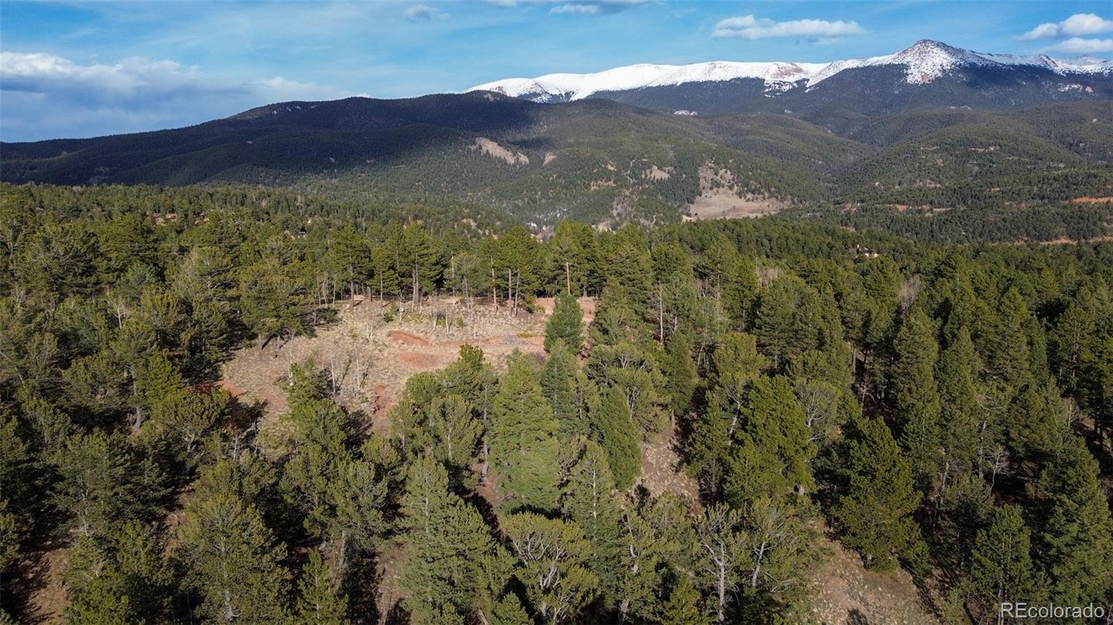 239 Homestead Road Divide, CO 80814 - Photo 2 of 24