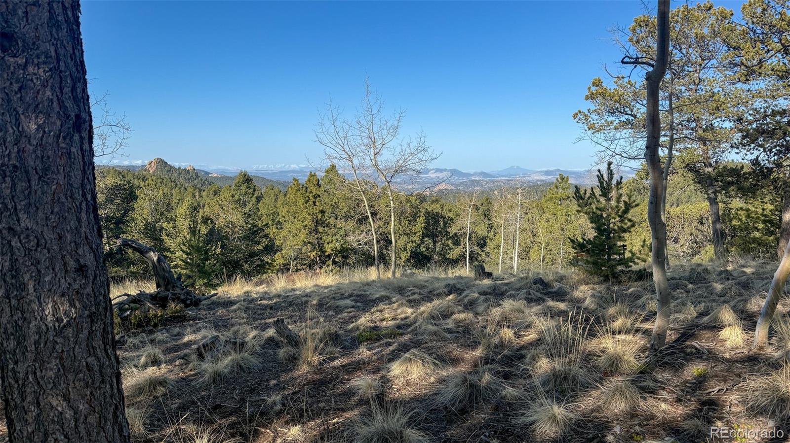 239 Homestead Road Divide, CO 80814 - Photo 21 of 24