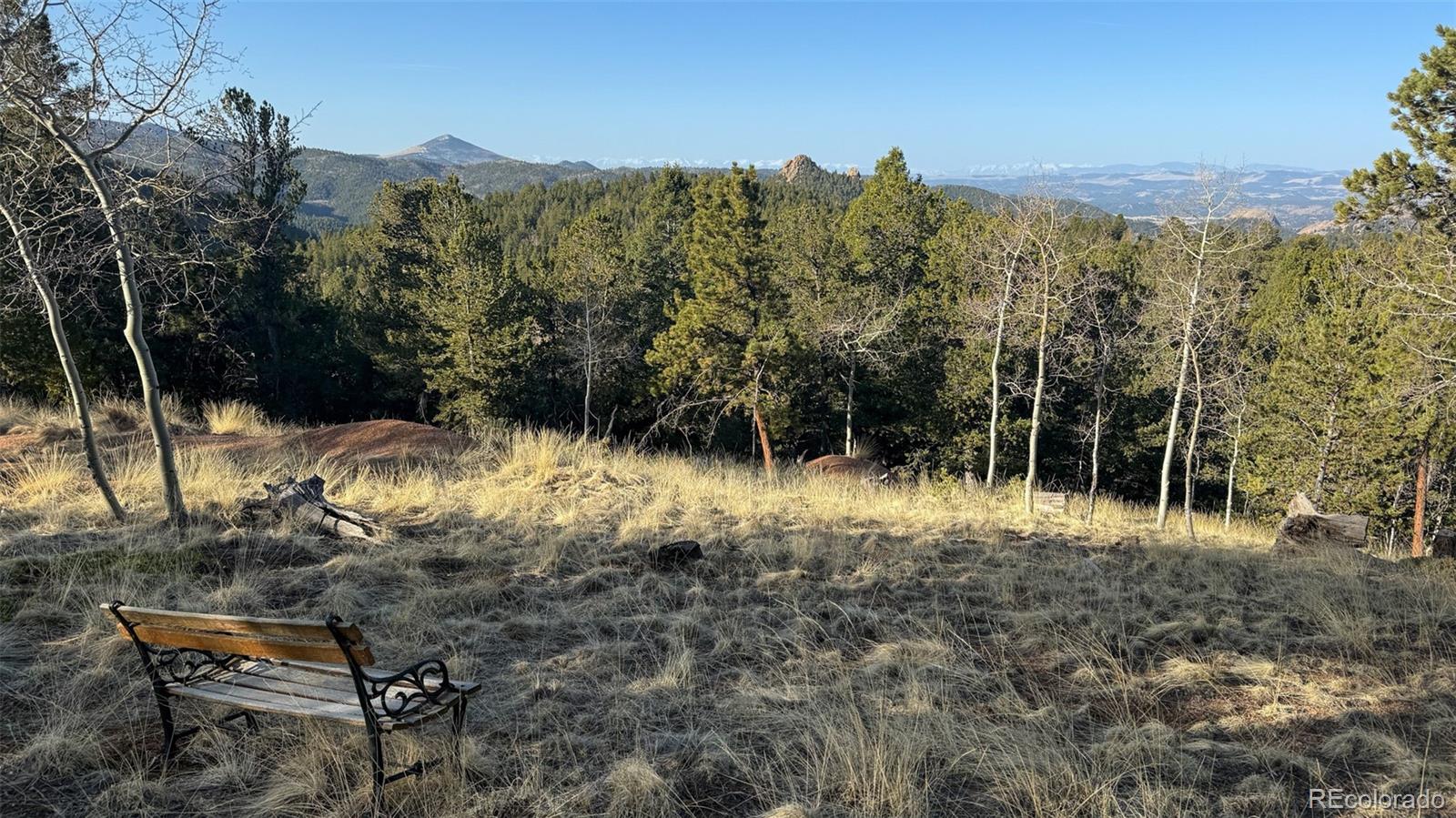 239 Homestead Road Divide, CO 80814 - Photo 22 of 24