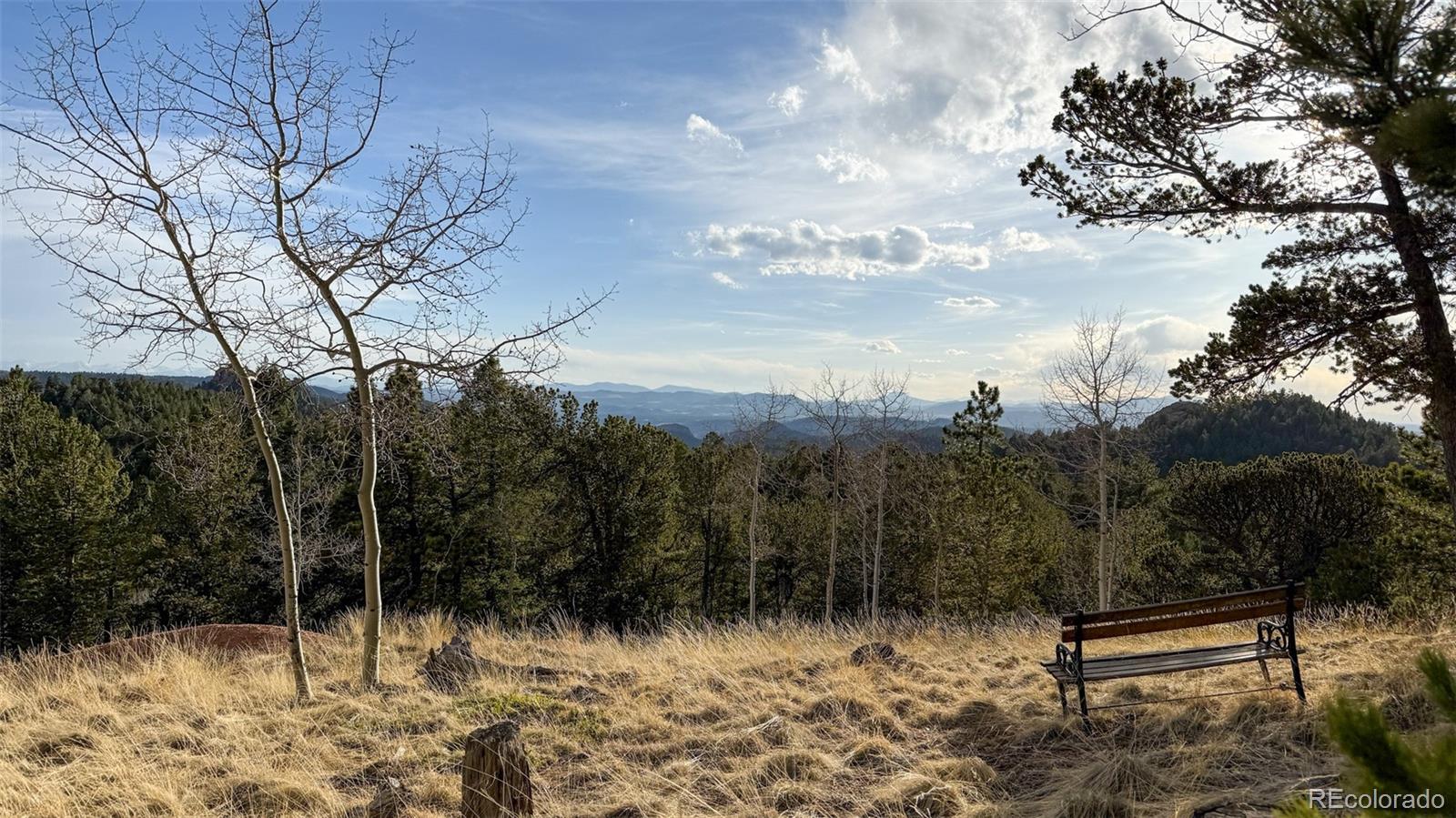 239 Homestead Road Divide, CO 80814 - Photo 24 of 24